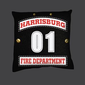 Custom 16^ X 16^ Pillow - Sheild Design